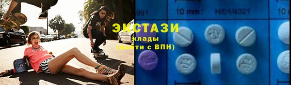 ECSTASY Богородицк